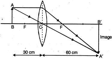 Draw a labelled ray diagram to locate the ima | vedclass